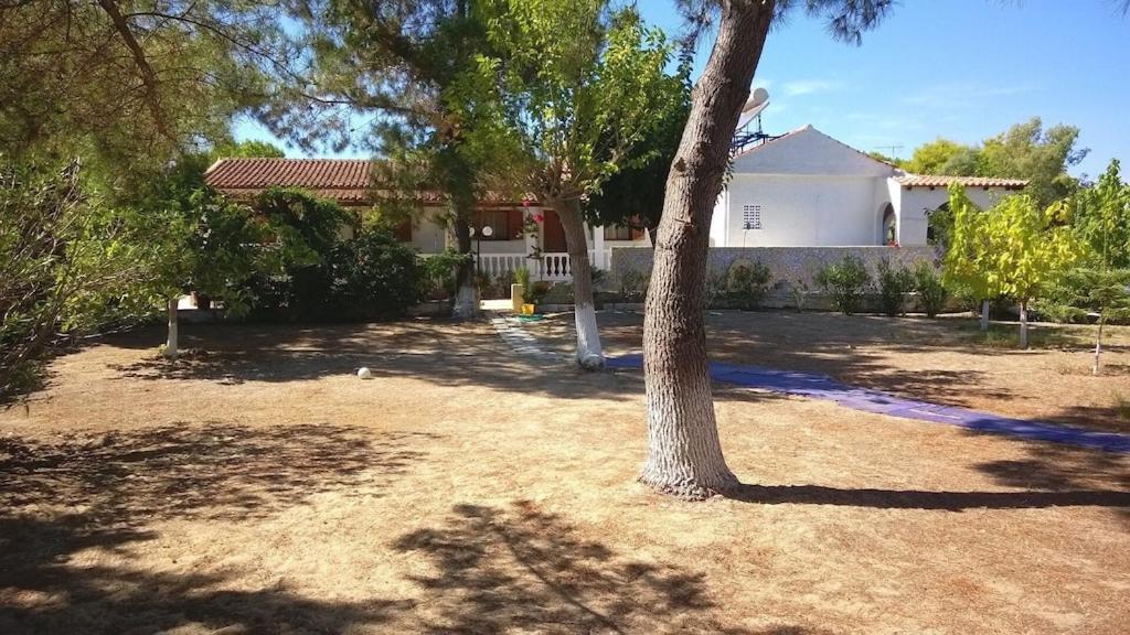Appartement Ionio Lefkimi