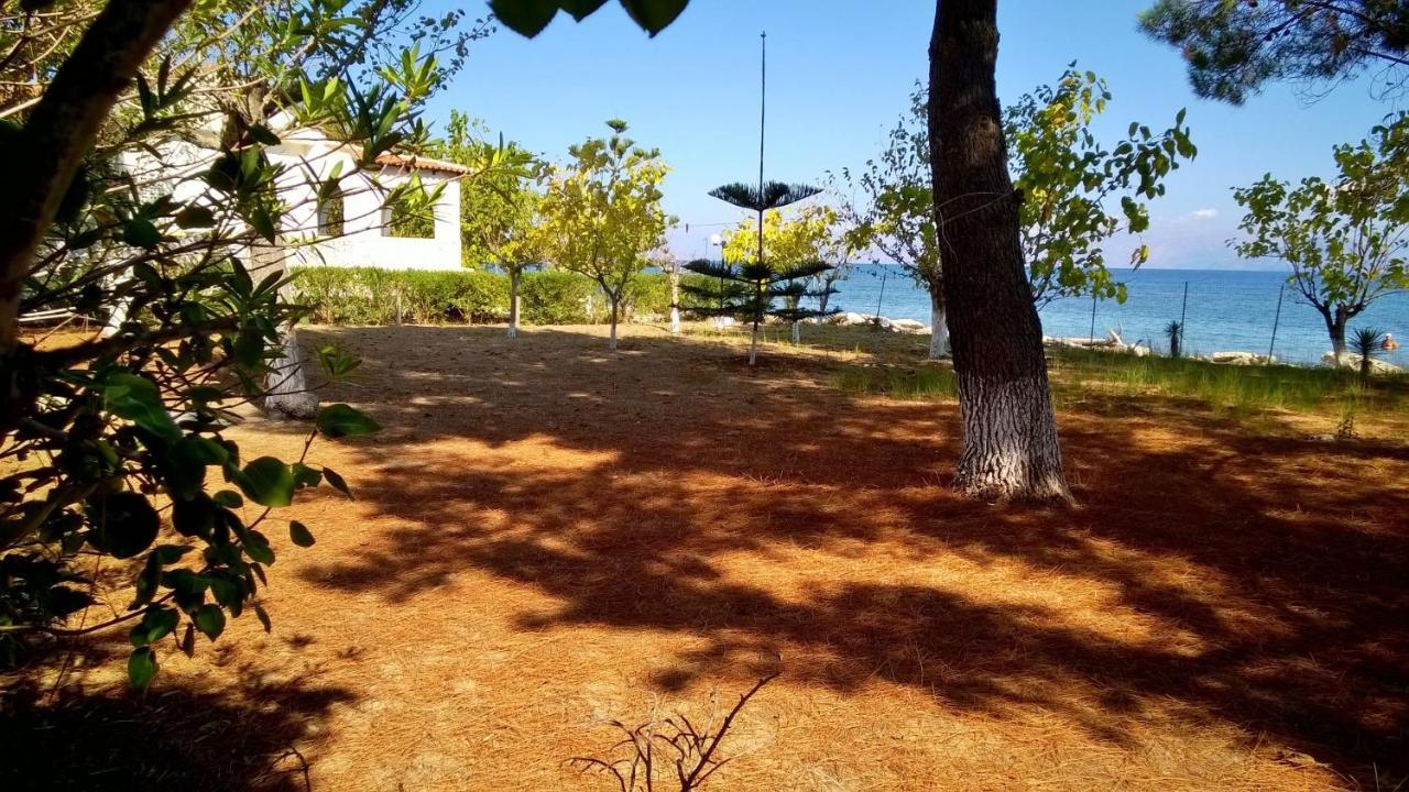 Ionio Appartement *