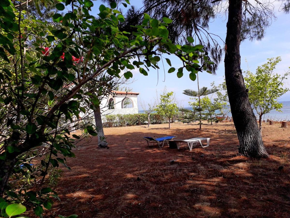 Ionio Appartement Lefkimi